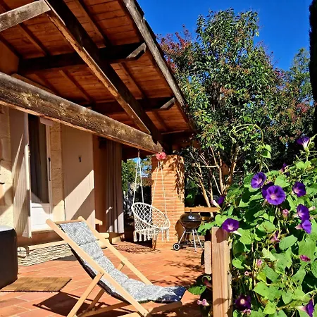 Hébergement de vacances Romantique - Jacuzzi Privé - Vignes - Proche Albi Et Cordes