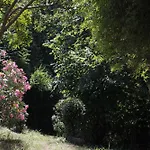 Lou Pitchoun - Jacuzzi Prive - Vignes - Proche Albi Et Cordes