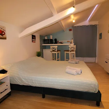 Hébergement de vacances Romantique - Jacuzzi Privé - Vignes - Proche Albi Et Cordes *