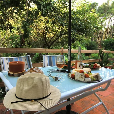 Pour 2 En Pleine Nature Avec Jaccuzzi Casa de Férias Gaillac
