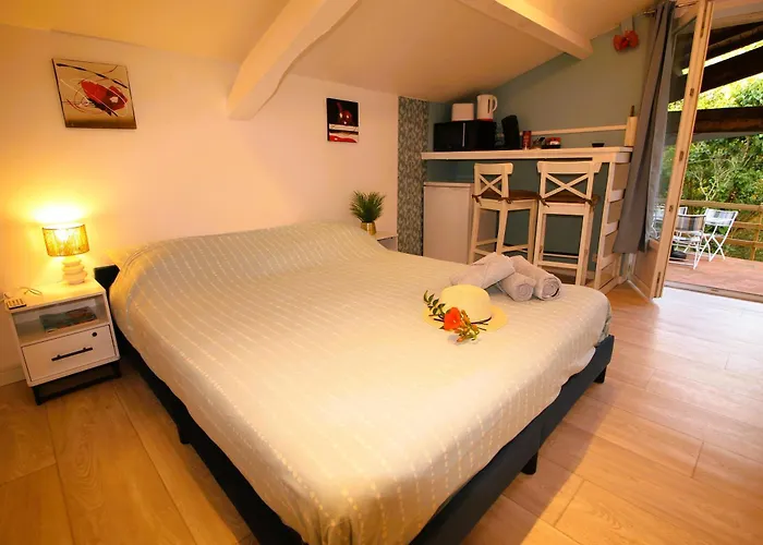 Lou Pitchoun - Jacuzzi Prive - Vignes - Proche Albi Et Cordes 別荘 *